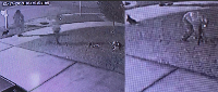 Security Camera picture