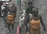 CVS Theft Suspects