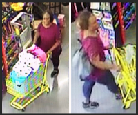 Pictures of theft suspect
