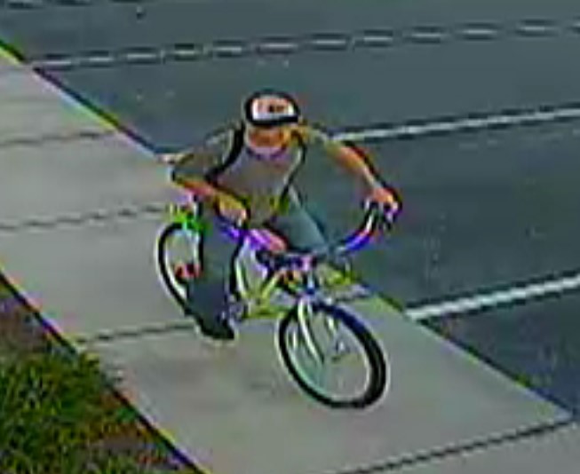 CVS shoplifting suspect CVS shoplifting suspect