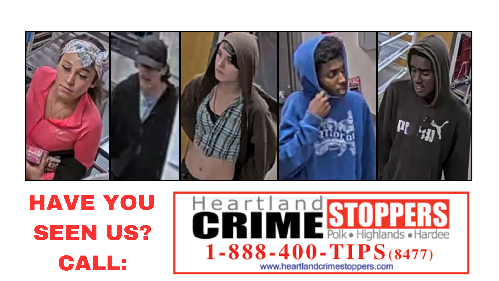 HAVE YOU SEEN US CALL