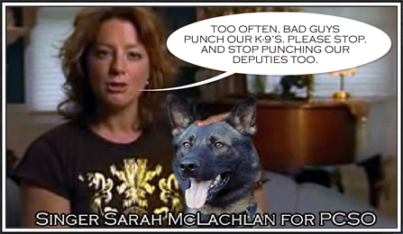 Sarah McLachlan and Axe